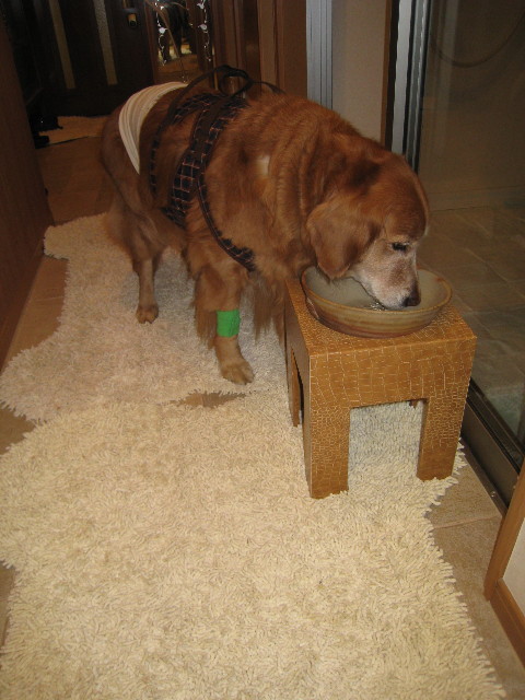 ファイル 672-5.jpg