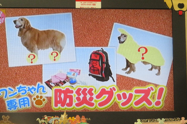 ファイル 6720-1.jpg