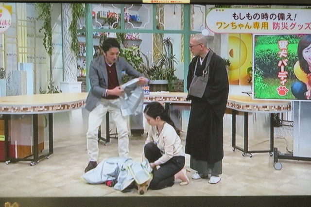 ファイル 6720-4.jpg