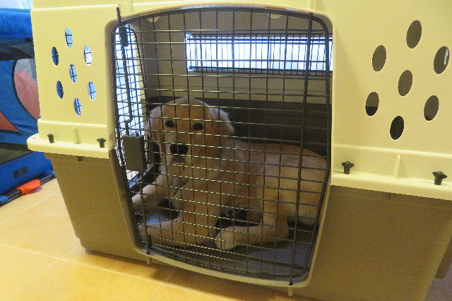 ファイル 6722-1.jpg