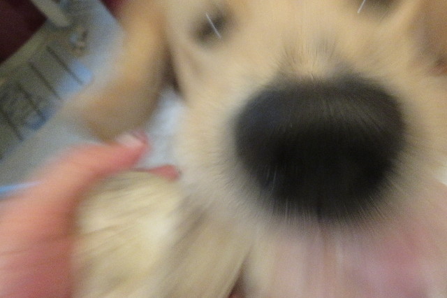 ファイル 6723-1.jpg