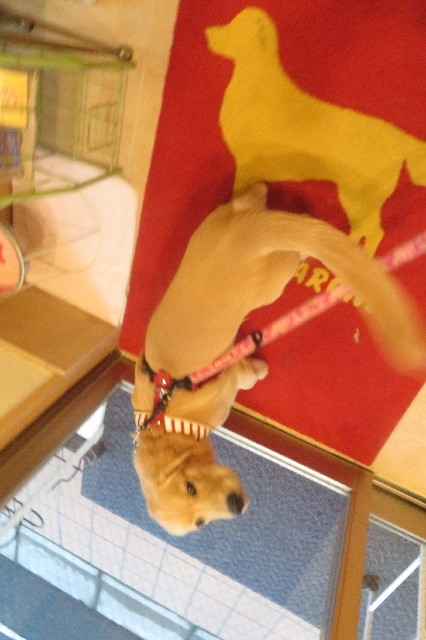 ファイル 6723-3.jpg