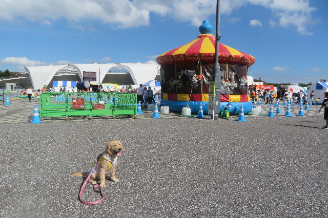 ファイル 6724-1.jpg