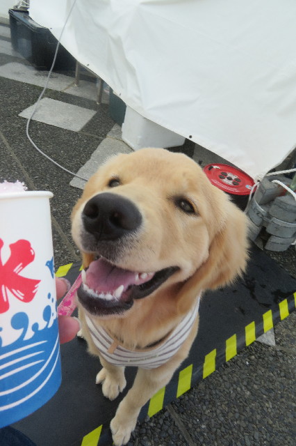 ファイル 6724-3.jpg