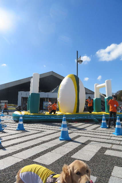 ファイル 6724-5.jpg