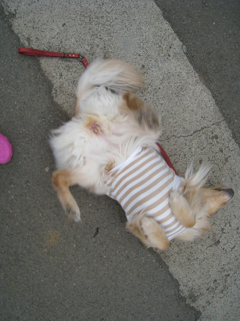 ファイル 673-4.jpg