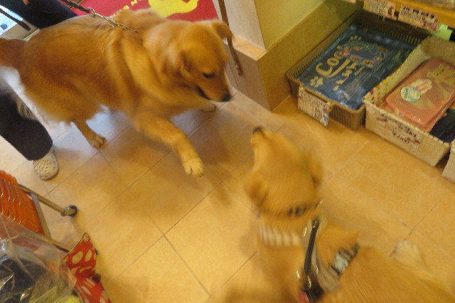 ファイル 6730-4.jpg