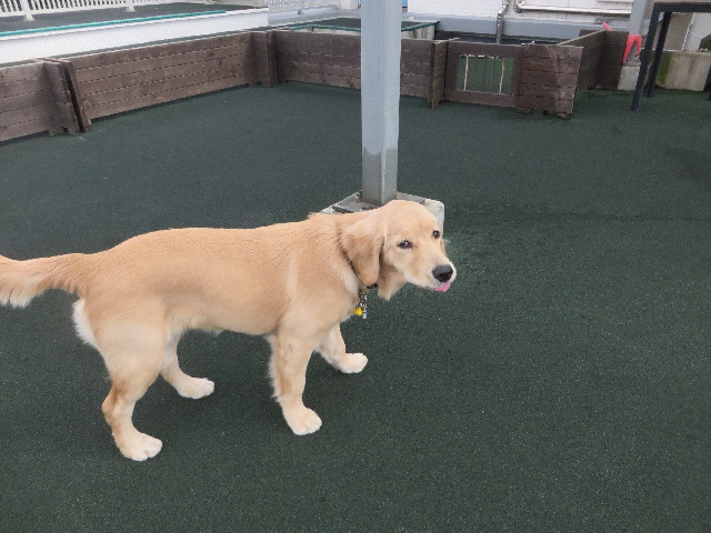 ファイル 6731-3.jpg