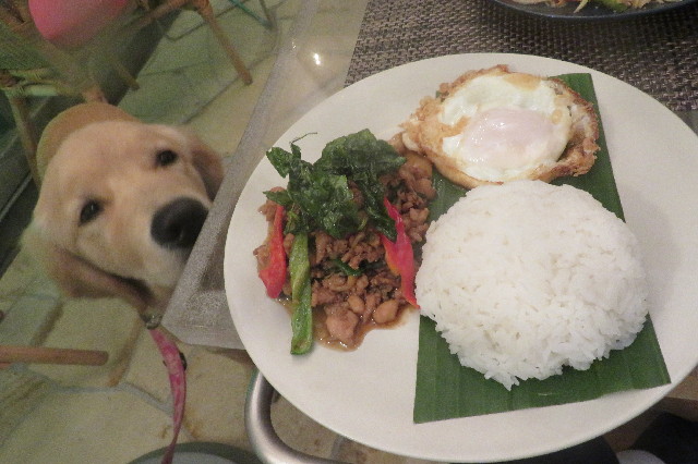 ファイル 6732-5.jpg