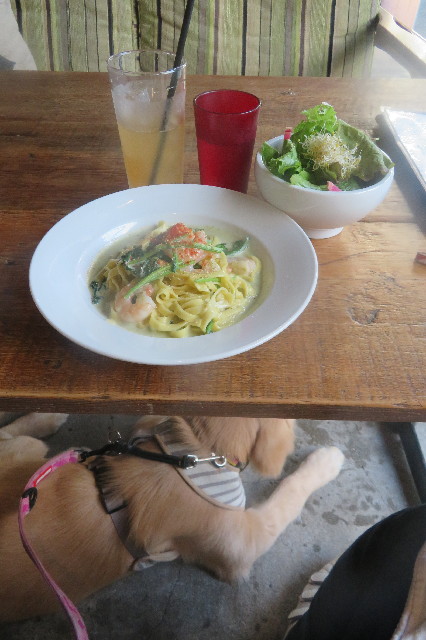 ファイル 6733-2.jpg