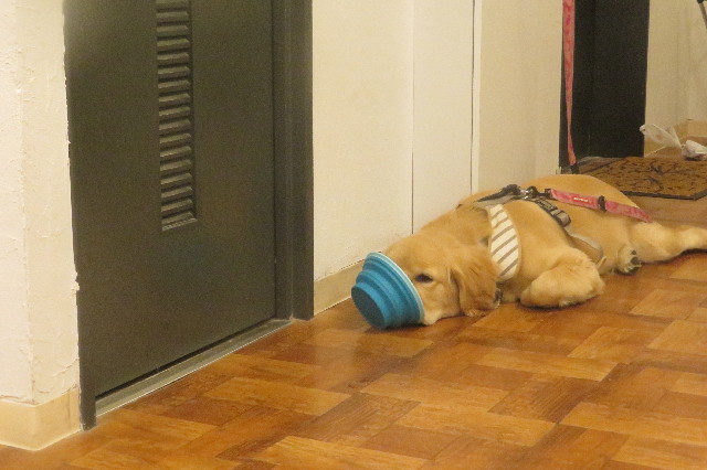 ファイル 6733-4.jpg