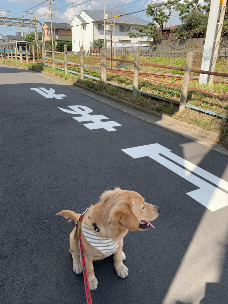 ファイル 6734-2.jpg