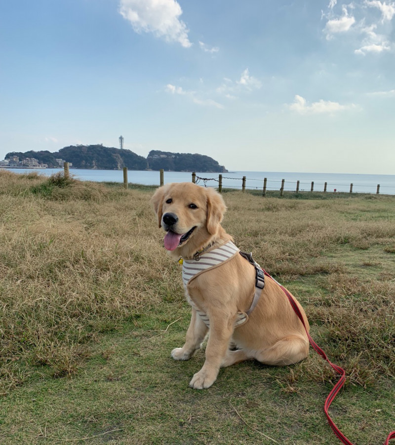 ファイル 6734-4.jpg