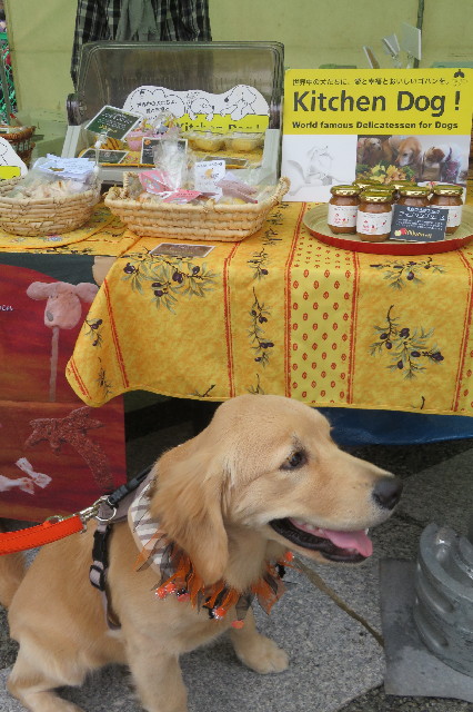 ファイル 6736-3.jpg