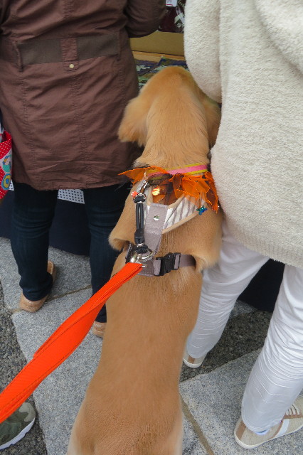 ファイル 6736-5.jpg