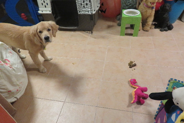 ファイル 6738-5.jpg