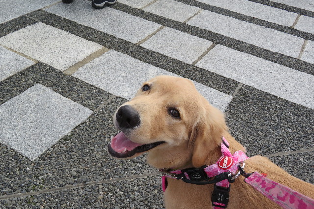 ファイル 6739-2.jpg