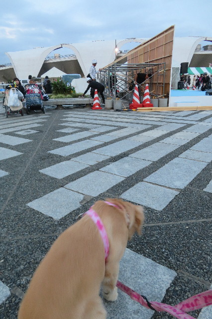 ファイル 6739-4.jpg