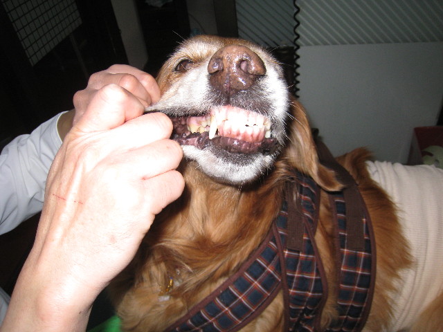 ファイル 674-2.jpg