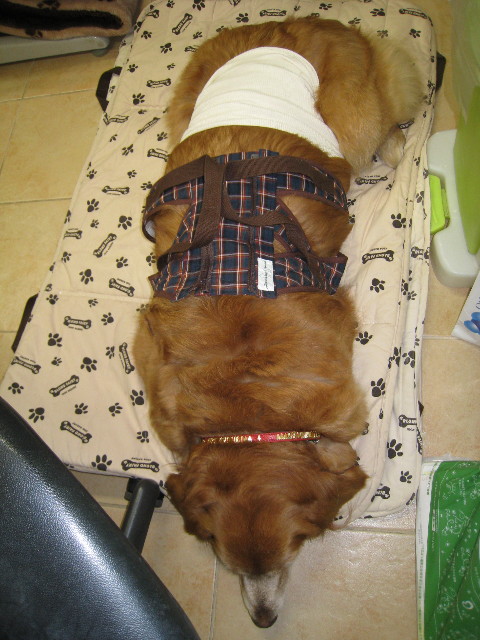 ファイル 674-3.jpg