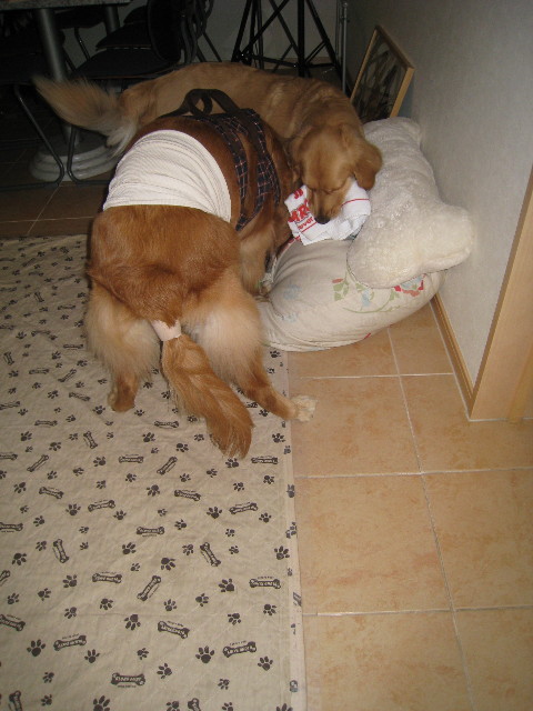 ファイル 674-4.jpg