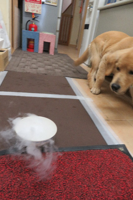 ファイル 6740-3.jpg