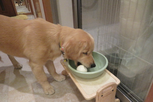 ファイル 6741-2.jpg