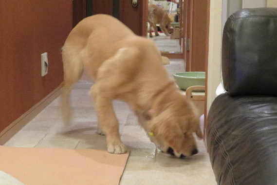 ファイル 6741-3.jpg