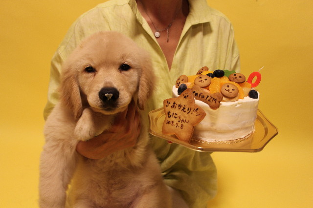 ファイル 6742-1.jpg