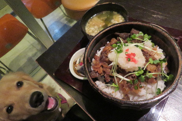 ファイル 6743-1.jpg