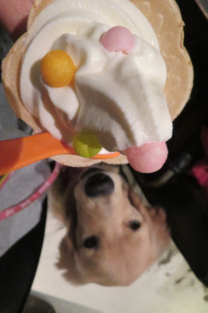 ファイル 6743-2.jpg