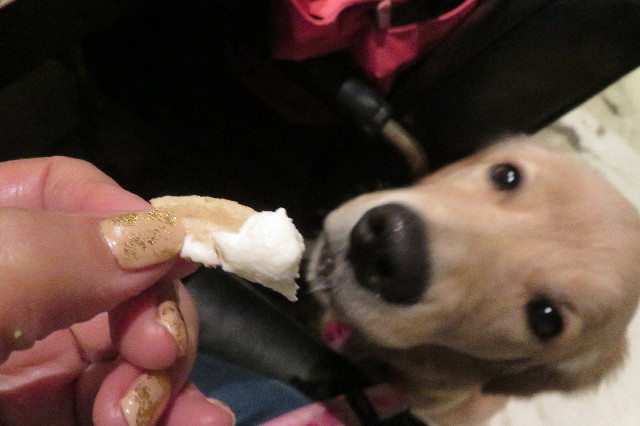 ファイル 6743-3.jpg