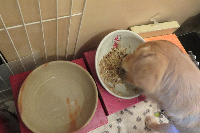 ファイル 6744-1.jpg