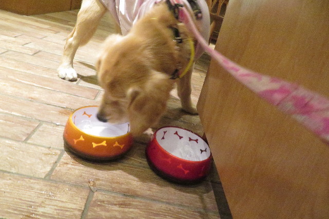 ファイル 6744-5.jpg