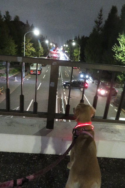 ファイル 6746-3.jpg