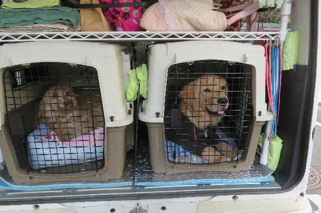 ファイル 6748-1.jpg