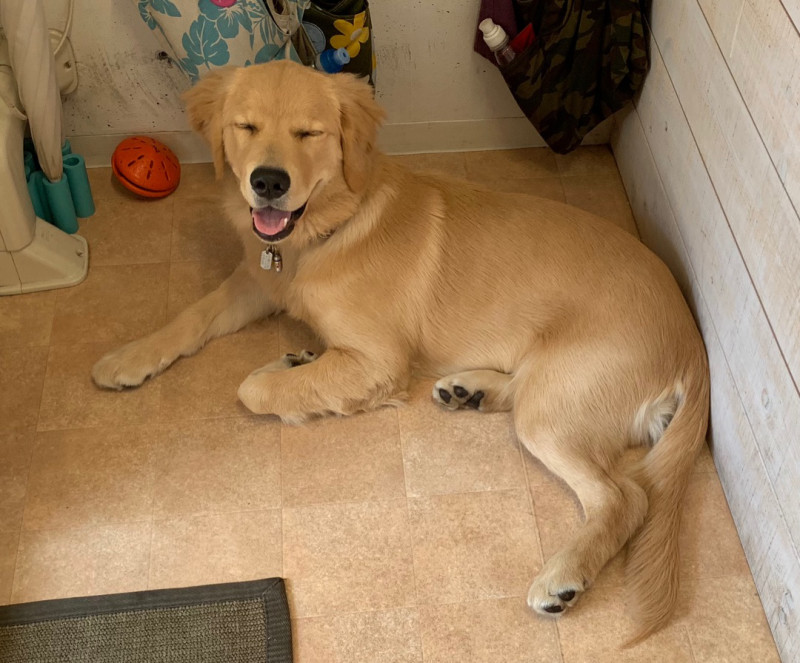 ファイル 6748-3.jpg