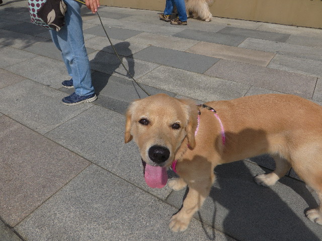 ファイル 6748-5.jpg