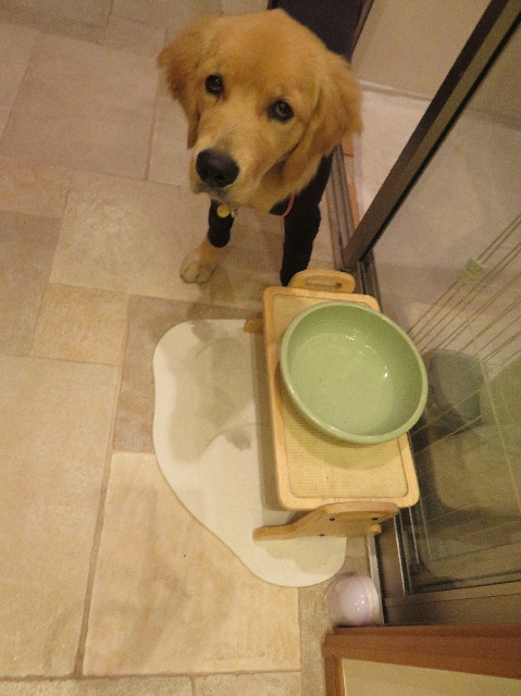 ファイル 6749-1.jpg