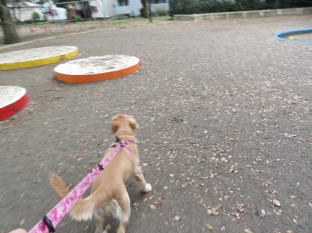 ファイル 6749-3.jpg