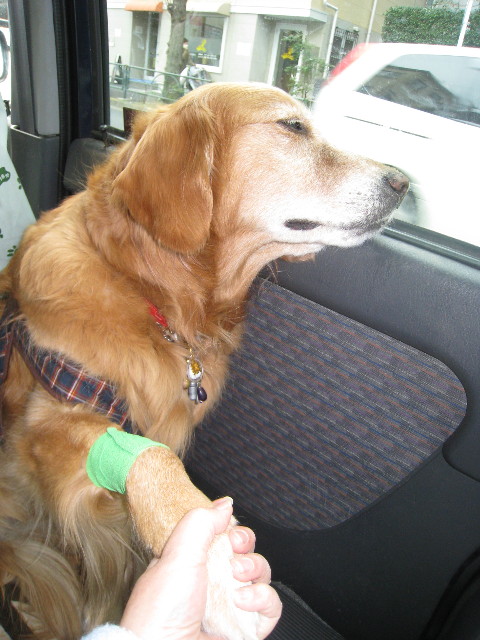 ファイル 675-1.jpg