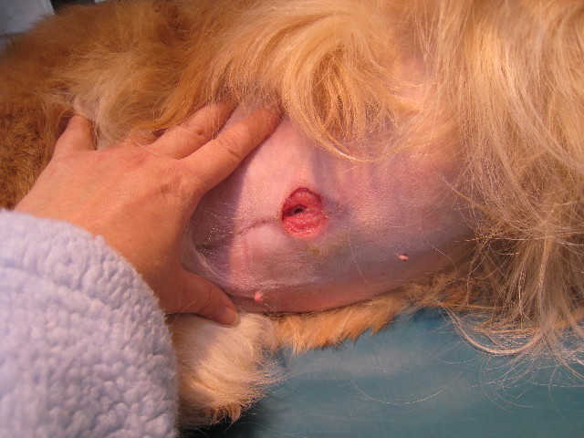 ファイル 675-2.jpg