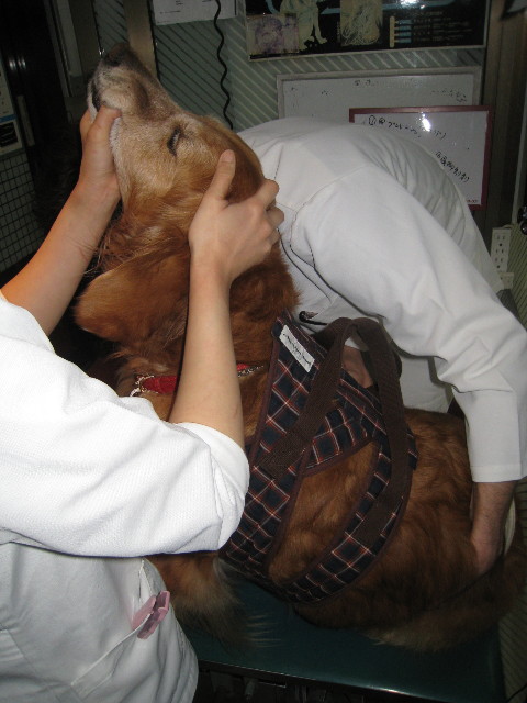 ファイル 675-3.jpg