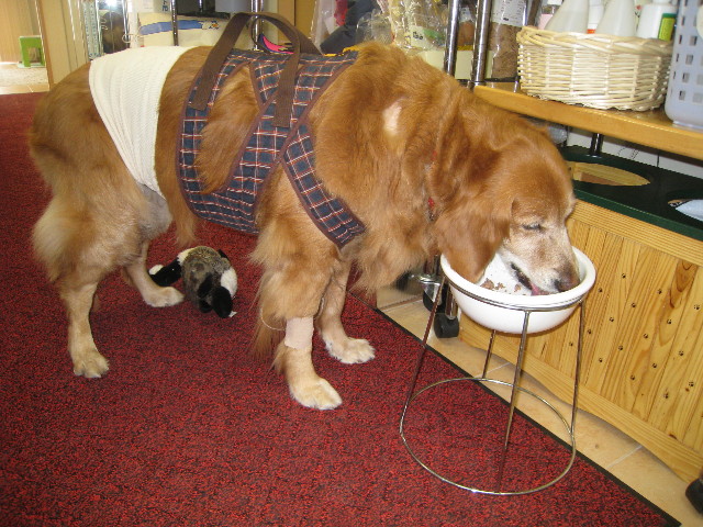 ファイル 675-4.jpg