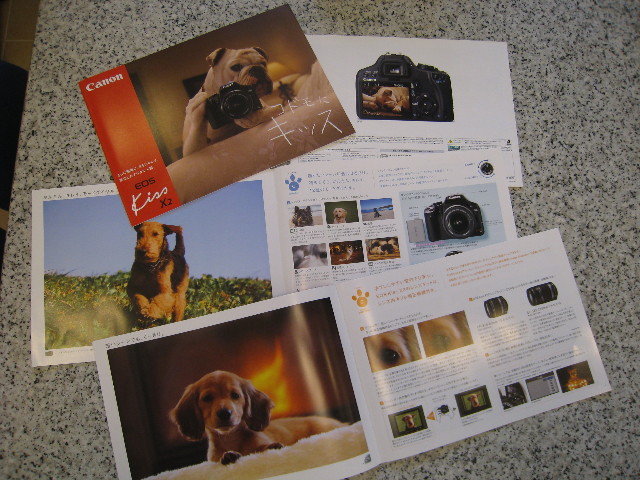 ファイル 675-5.jpg