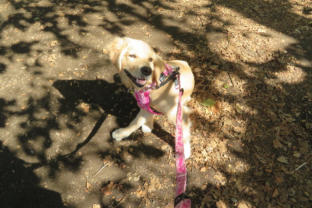 ファイル 6752-1.jpg