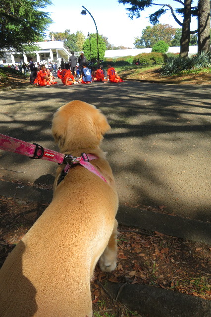 ファイル 6752-2.jpg