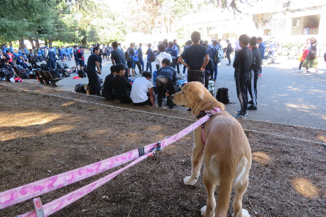 ファイル 6752-3.jpg