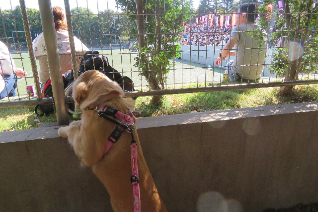 ファイル 6752-4.jpg