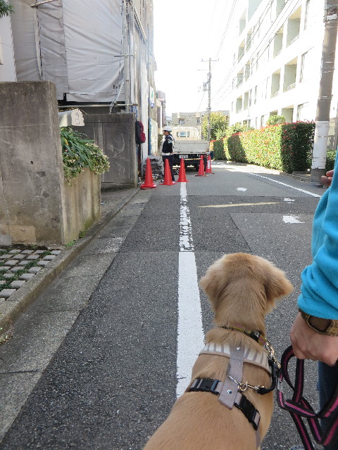 ファイル 6754-1.jpg